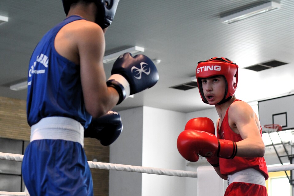 In rot DTV 1856 Boxer Ashab Gaysultanov