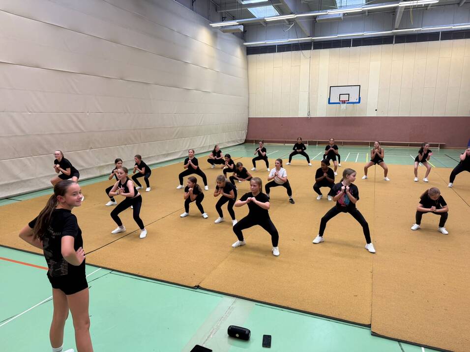 Trainingsgruppe Cheerleader Delmenhorster Turnverein