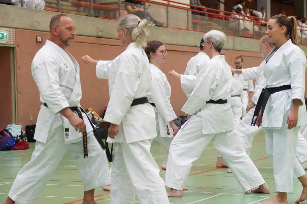 Karate Seminar DTV 1856 mit Weltmeisterin Sophie Wachter 2026